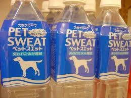 images6.webp