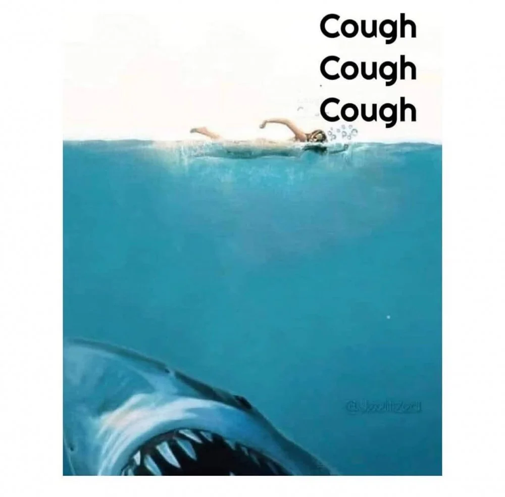 jaws.webp