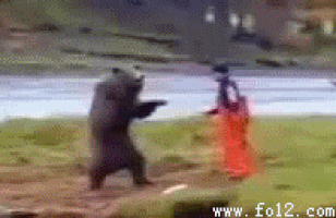 jiji.gif