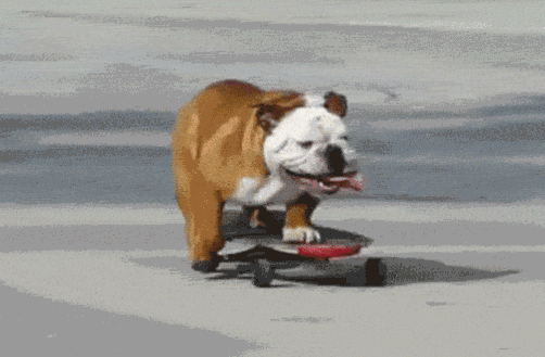 jj.gif