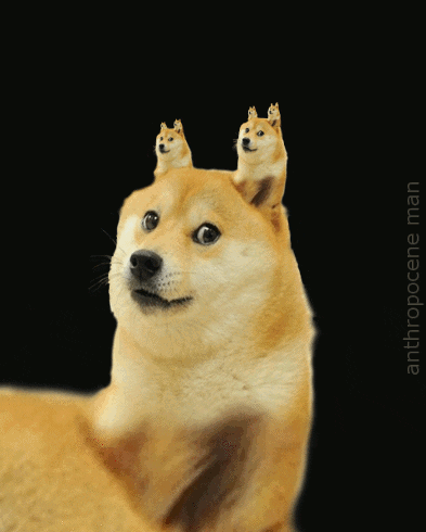 jjkj.gif