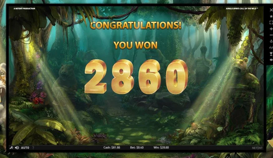 jungle.webp