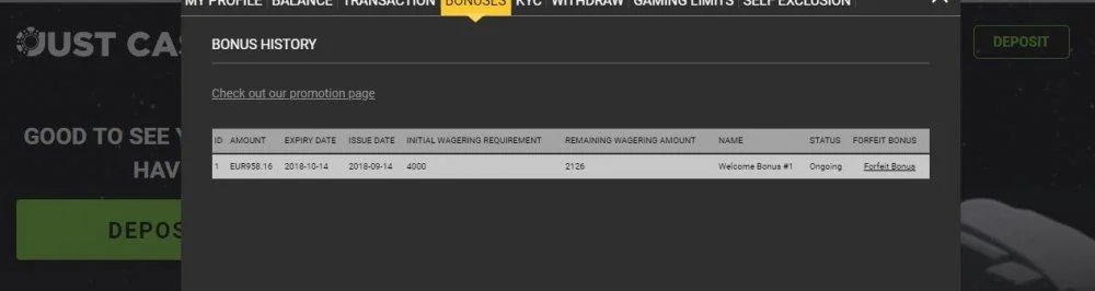 Justcasino2.webp