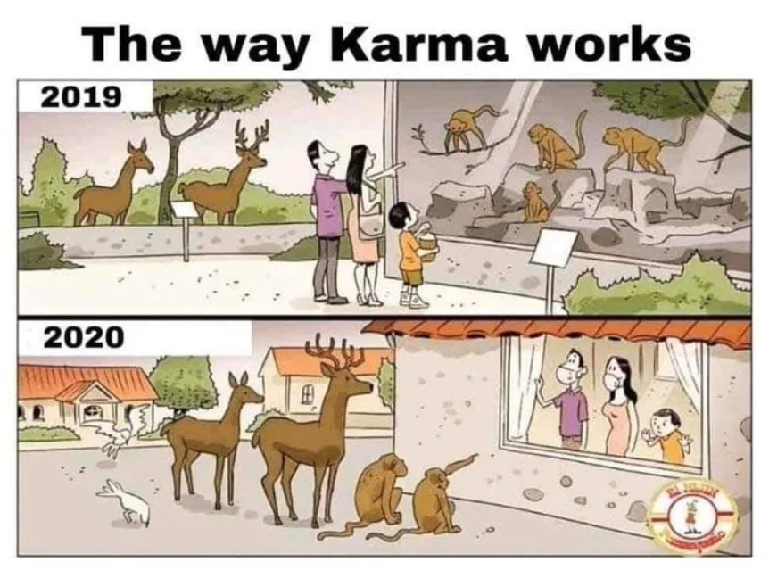 karma.webp