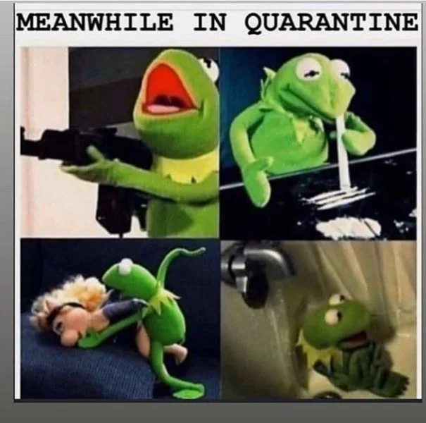 kermit.webp