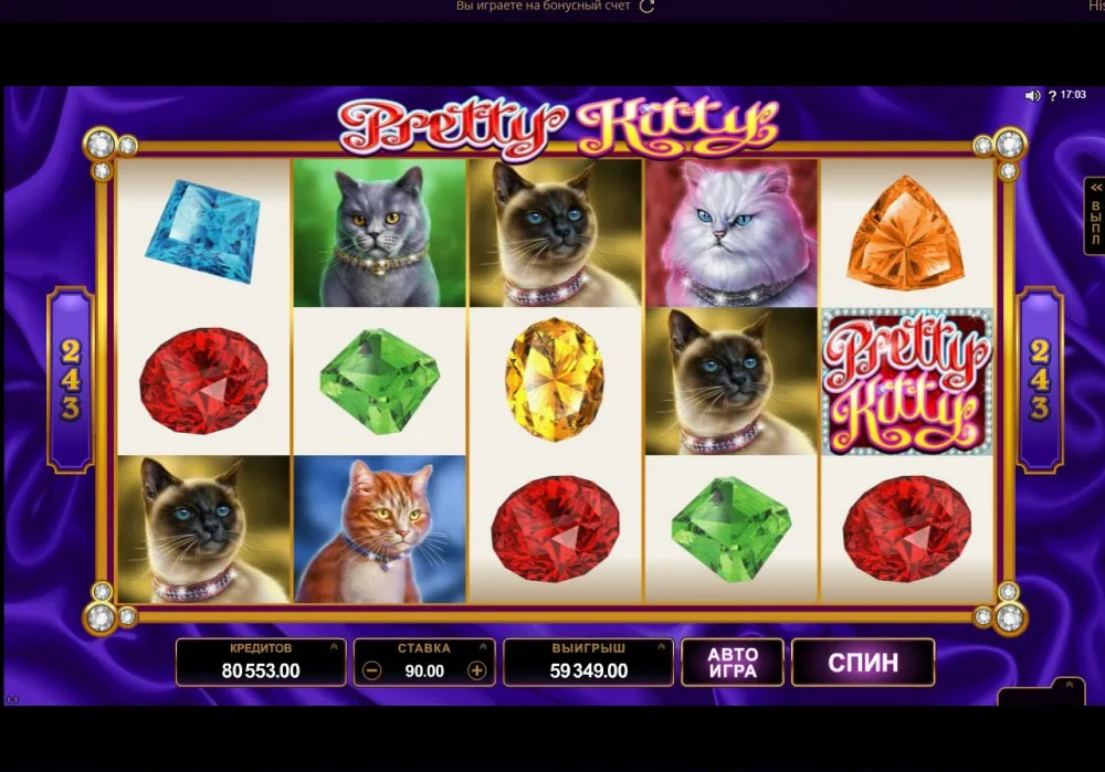 kitty_x695.webp