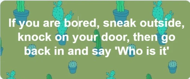 knock knock.webp