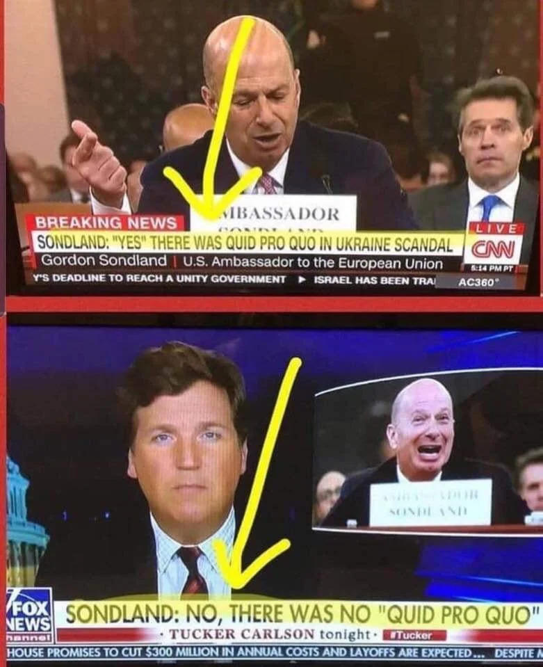 koko.webp