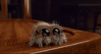 lucas1.gif