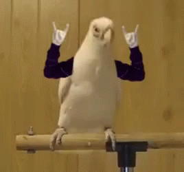 metal1.gif