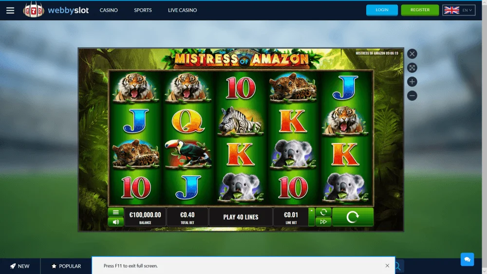 mistress of amazon.webp