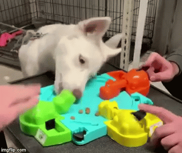 mmm.gif
