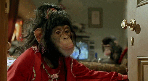 monkey.gif