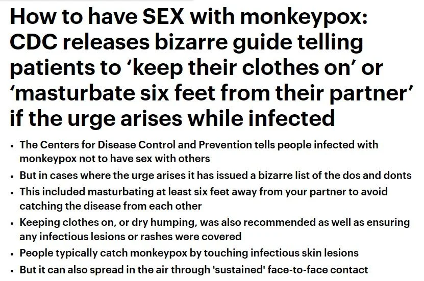 monkey magic.webp