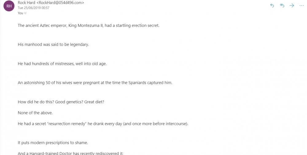 monty.webp