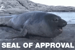 mooo.gif