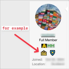 mvp-in-use-example.webp
