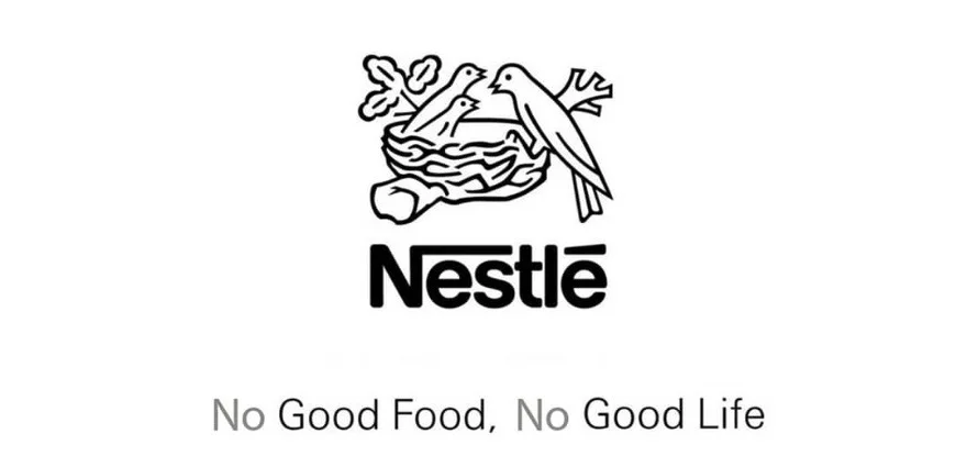nest.webp
