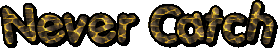 nevercatch.gif