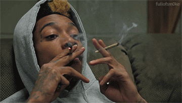 new.gif