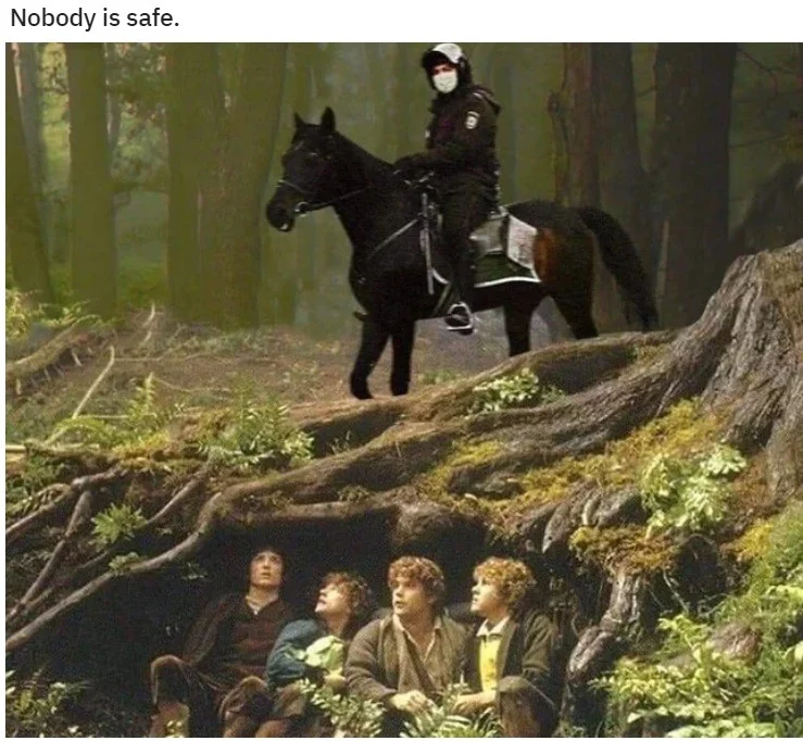 oh no frodo.webp