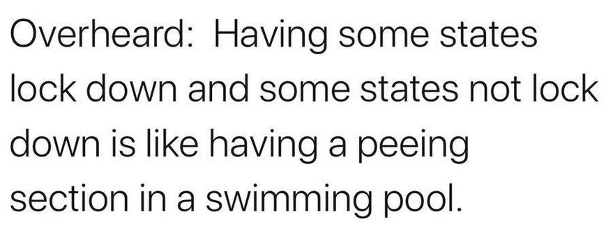 pee.webp