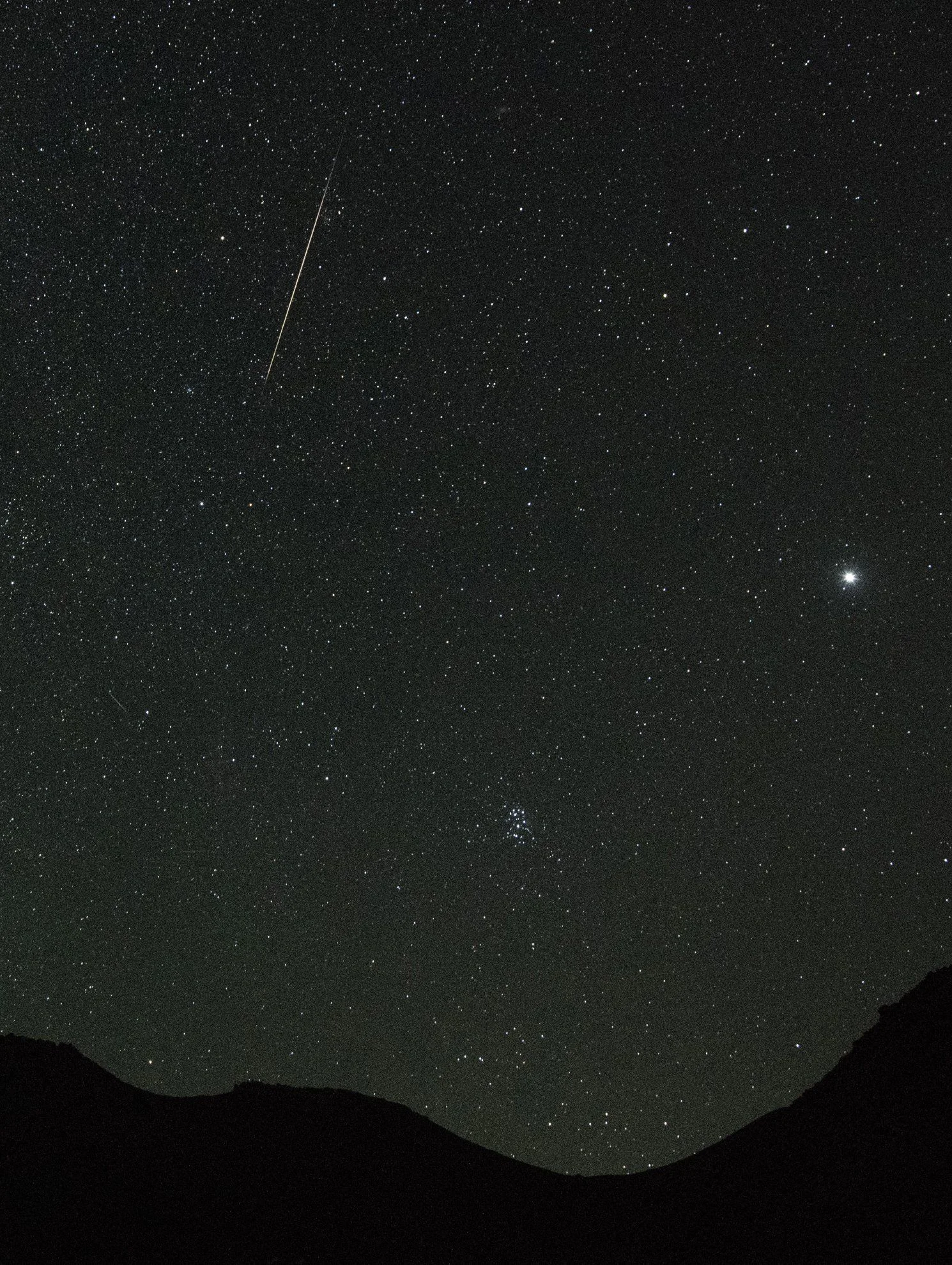 perseids1-cropped-portrait.webp