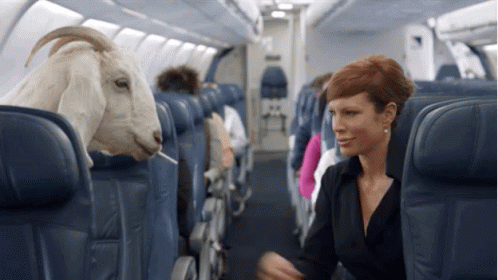 plane.gif