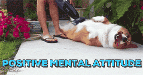 posi2.gif