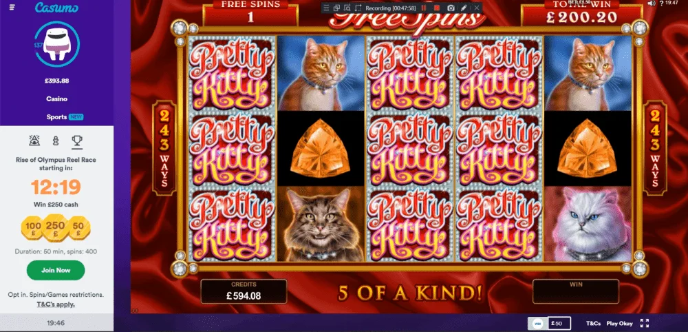 pretty-kitty-big-win.webp