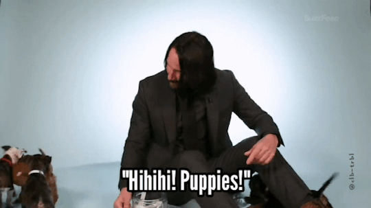 pup.gif