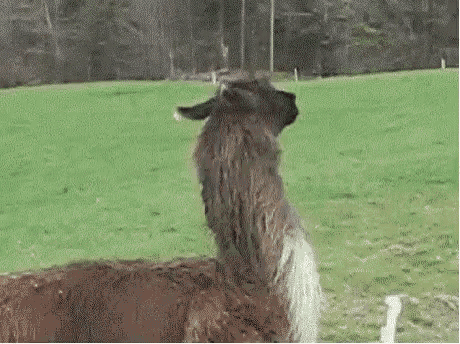 quitter.gif