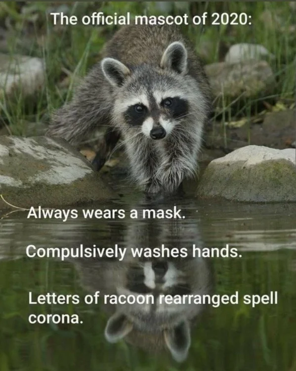 rac.webp