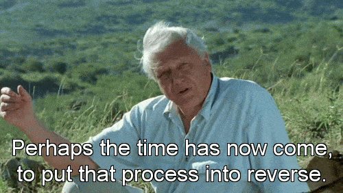 rev.gif