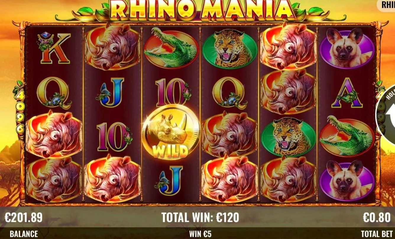 rhino.webp