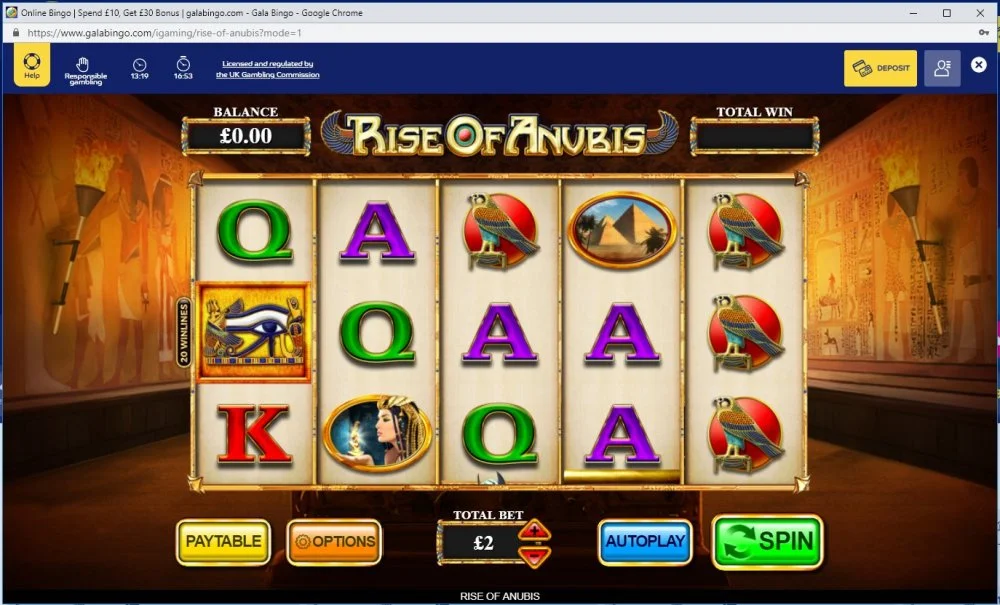 Rise.webp