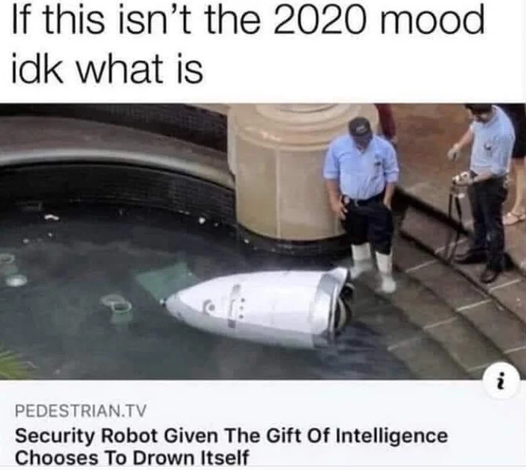 robot.webp