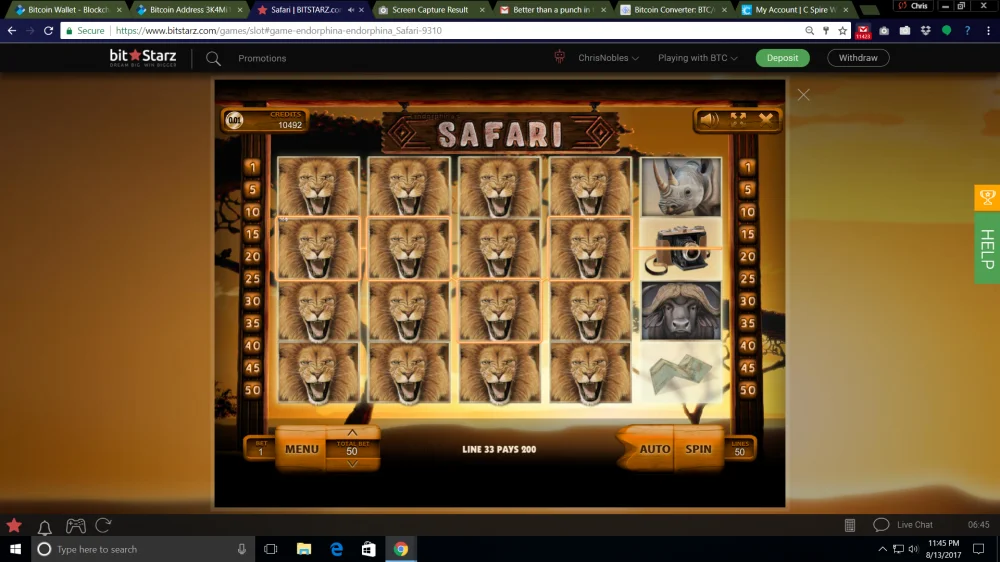 SafariBstars.webp