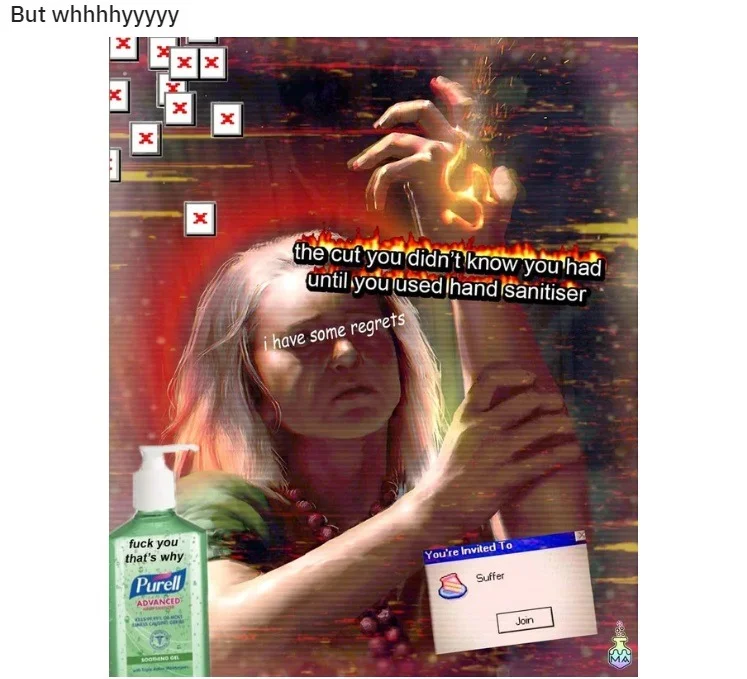 sam.webp