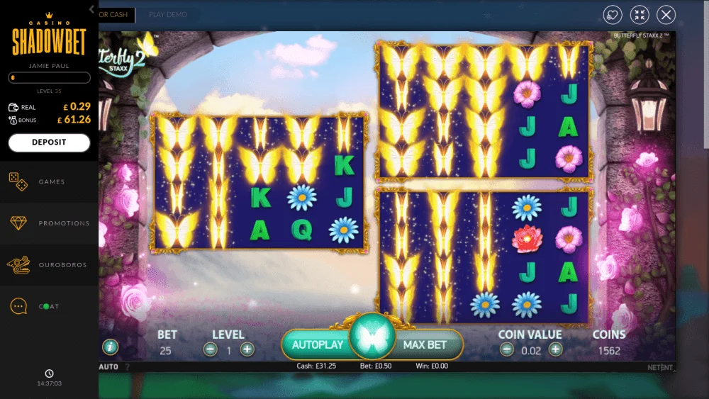 Screenshot 2019-08-22 at 2.37.03 PM.png