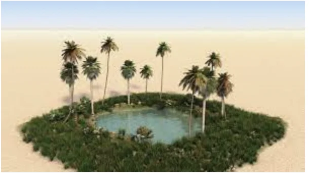 Screenshot 2022-07-19 at 13.32.28.webp