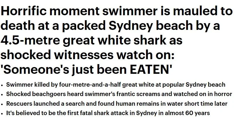shark.jpg