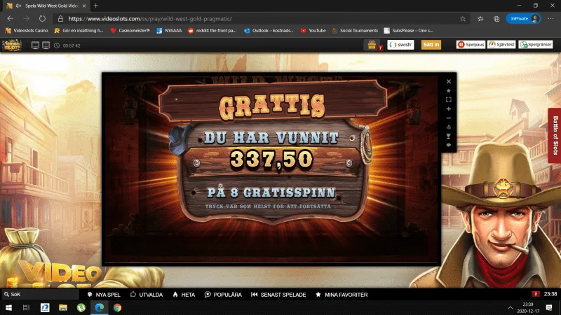 Skärmbild (268).webp