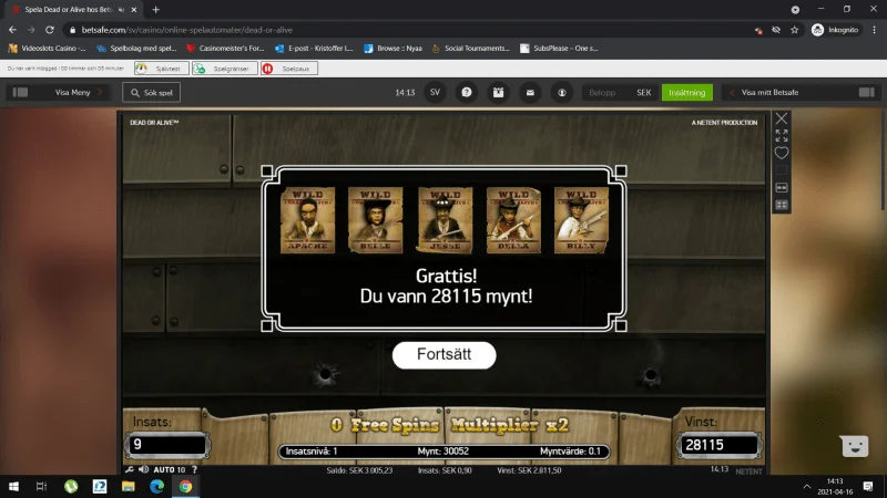 Skärmbild (759).webp
