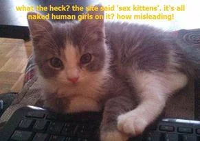sk.webp