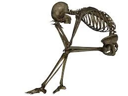 skeleton.webp