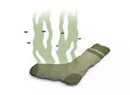 sock.webp