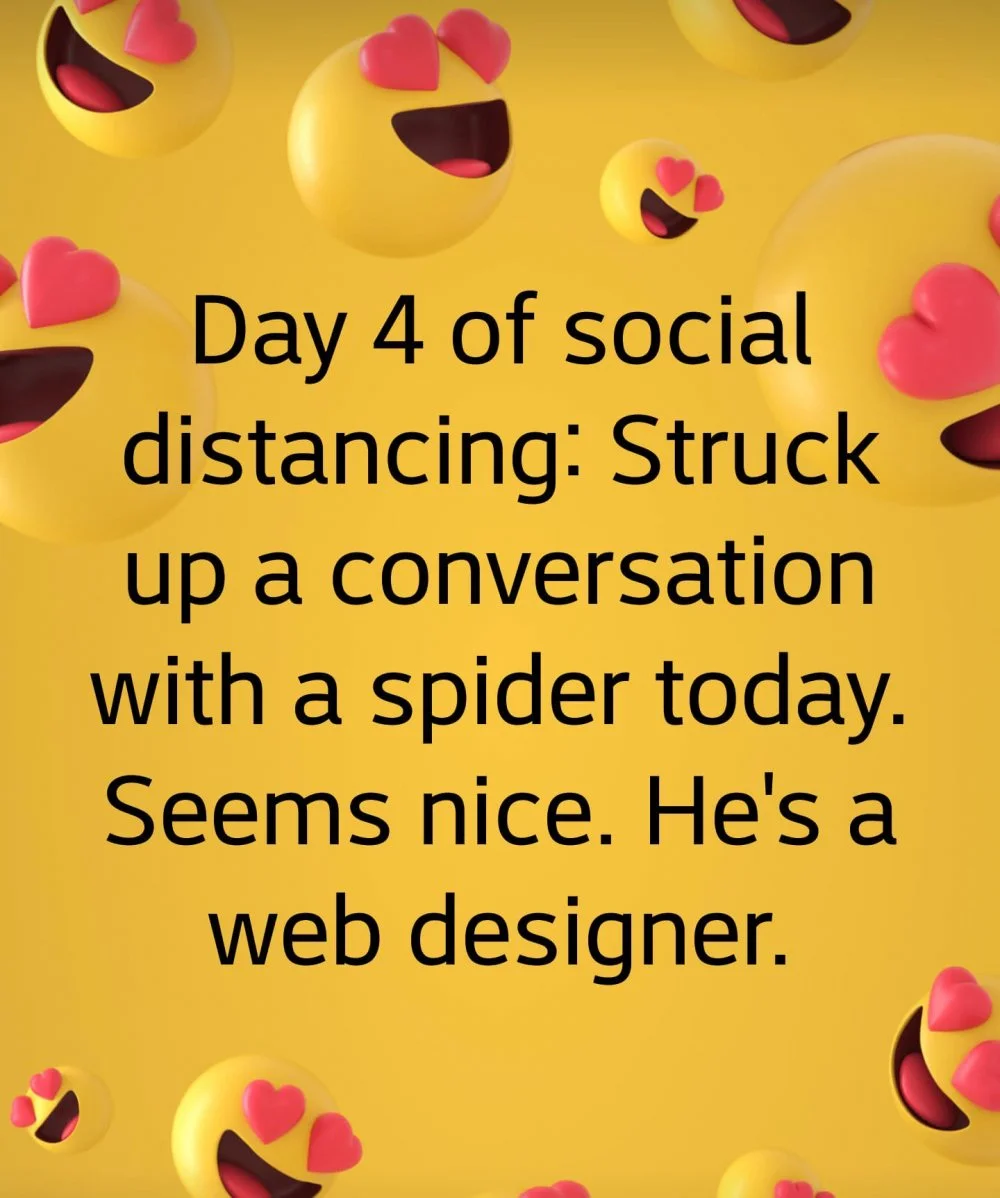 spider.webp