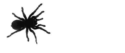spider3.gif