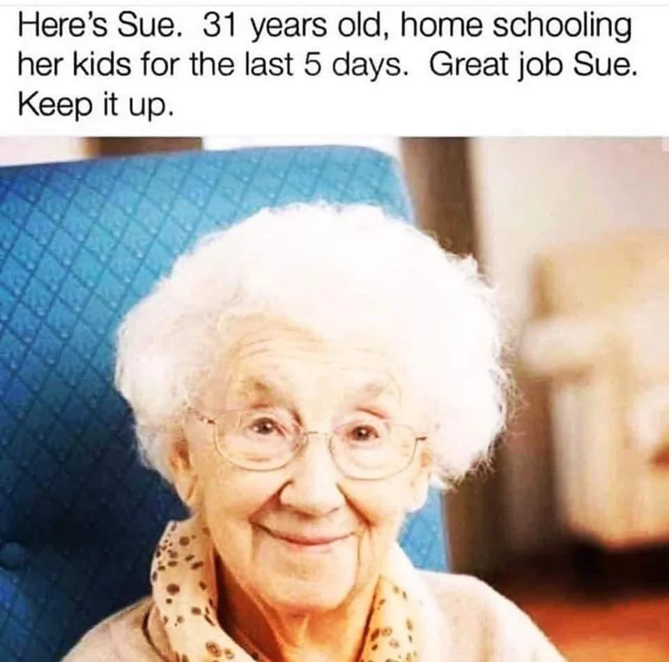 sue.webp